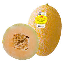 We did not find results for: Fall Season For Savor Fresh Farms Honey Kiss And Summer Kiss Has Arrived Andnowuknow