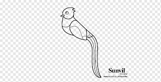 S mexico to w panama; Guatemala Resplendent Quetzal Coloring Book Golden Headed Quetzal Quetzal Game Angle Child Png Pngwing