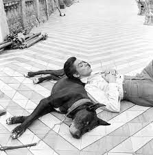 pin na doske l yu d i