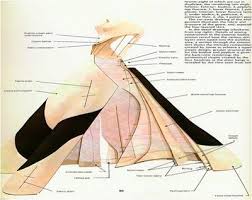 The Closet Socialite Fashion Architecture Charles James Charles James Favorite Fashion Designer Architecture Fashion