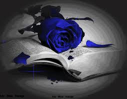 Gothic Black And Blue Roses Https Encrypted Tbn0 Gstatic Com Images Q Tbn 3aand9gcsoxprffmptjoegfzloxetqgvvi7iqid4dm7q Usqp Cau
