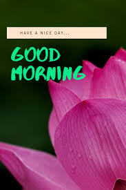 Pin On Good Morning Images