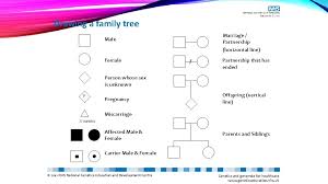 A family tree is a picture of your family's medical and health history. Pedigree Overview I What Is A Pedigree I