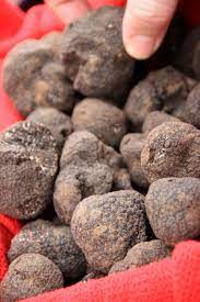 La quatrième édition de la semaine de la truffe en pays d'albret se déroulera du 21 au 29 janvier. Uzes Cours De La Truffe Saison 2019 2020 Ville D Uzes