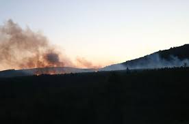 İhbar üzerine olay yerine çok sayıda itfaiye ekibi sevk edildi. Son Dakika Kartal Daki Aydos Ormani Nda Yangin Cikti Son Dakika Haberleri