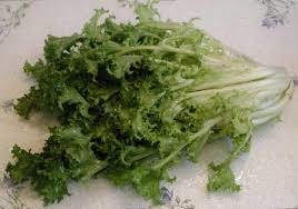Endive Chicory Salad Chicory Endive