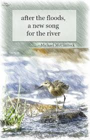 Haiku Poem After The Floods By Michael Mcclintock Although Not A Flood I Relate To This After Our Newly Acq Haiku Poems Poetry Inspiration Haiku Poetry