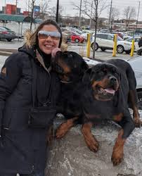 How to become a guide dog trainer. My Obedient Dog About