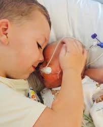 Last night's Lulu Gribbin update