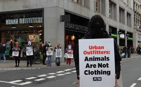 Image result for peta protests