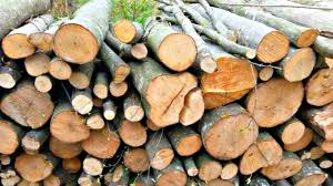 Preț Pentru Lemne De Foc Cu Cat Se Vinde Metrul Cub In Fiecare Județ