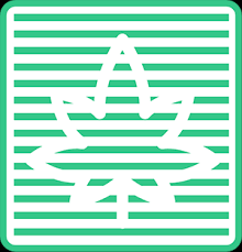 Understanding The Cannabis Light Cycle To Improve Yield