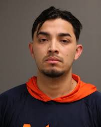 ESCOBAR, RONY ORLANDO 27 HISPANIC M CHARGES: 720 ILCS 5.0/12-3.2-A-2  DOMESTIC BTRY/PHYSICAL CONTACT OFFENSE AS CITED