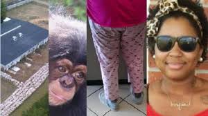 ArkLaTex Year in Review: 2012