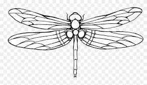 Tattoo Dragonfly Drawing Clip Art Outline Images Of Dragonfly Png Download 1134954 Pikpng The drawing choices will spark creativity and the step by. tattoo dragonfly drawing clip art