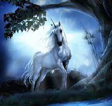 Free Download Beautiful Fantasy Nature Wallpapers Unicorn Pictures Unicorn Wallpaper Unicorn And Fairies