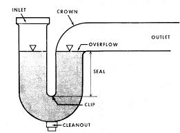 Check spelling or type a new query. File Ptrap Jpg Wikimedia Commons