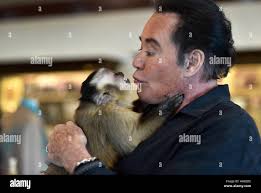 Wayne boo hi-res stock photography and images