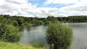 The local nature reserve has over 50 acres of mainly silver birch and oak woodland surrounding a 15 acre lake as well as areas of heathland, a wildflower meadow and wetland areas. Brereton Heath Local Nature Reserve Picture Of Brereton Heath Local Nature Reserve Sandbach Tripadvisor