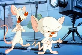 Watch streaming online pinky and the brain episodes and free hd videos. Here S A Look At The Live Action Version Of Pinky The Brain Geeks On Coffee