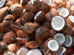 Our coconut water tastes like it's poured straight out of the coconut because it is! The End Of Coconut Water The World S Trendiest Nut Is Under Threat Of Species Collapse
