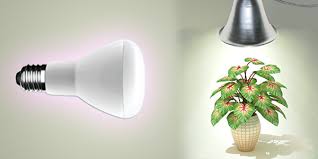Top 10 Best Led Grow Light Bulbs 2020 Reviews