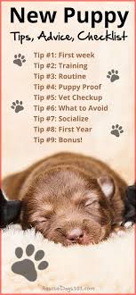 First Time Dog Owners Guide Checklist Tips Puppies Tips Puppy Owner New Puppy