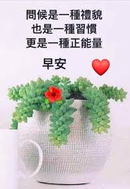 pin by phyllis on 早安問候語 good morning greetings good morning wishes morning images