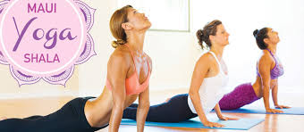 We did not find results for: Maui Yoga And Dance Shala Class Schedule Paia