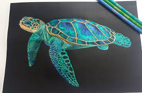 Download high quality sea turtle cartoons from our collection of 65,000,000 cartoons. Pin On Art Art Art Art Art