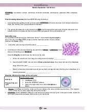 Read free cell division answer key gizmo single cell and watch as mitosis and cell division occurs. Modified Cell Division Gizmo