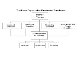 Non Profit Organization Structure Chart Organizational Chart Business Organizational Structure Organizational Structure