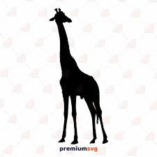 Download Jungle And Wildlife Svg Cut File Premium Svg