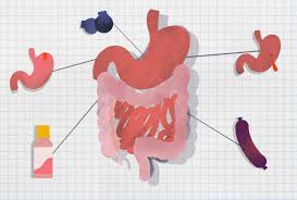 Image result for dark black stool human poop