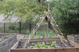 Ten dollars and two hours later you'll be wishing you had more vines. Cucumber Trellis Nourish And Nestle