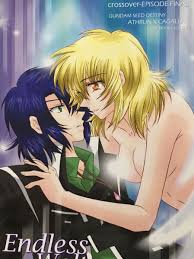 ガンダムSEED＆DESTINY アスカガ 同人誌 真逆のモザイク 5冊セット アスラン×カガリ 問わず語り