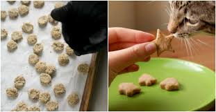 Believe it or not, hairballs aren't normal for cats; 15 Purrfect Homemade Cat Treats To Spoil Your Kitty