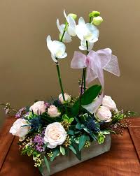 Read reviews from same day flower delivery san diego ca at 2484 f street in san diego 92102 from trusted san diego restaurant reviewers. Orquideas Bombasticas In San Diego Ca Rancho Santa Fe Flowers And Gifts