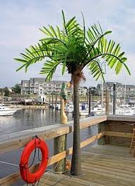 Pin By Joby Grow On Backyard Tiki Bar Palm Tree Lights Christmas Palm Tree Outdoor Patio Lights
