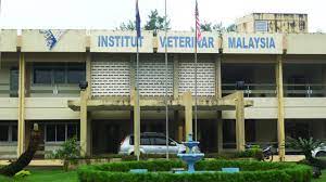 Institut veterinar malaysia adalah di bawah pentadbiran jabatan perkhidmatan veterinar persekutuan melalui bahagian latihan dan pembangunan kerjaya.institut ini telah ditubuhkan sejak tahun 1974 dengan tujuan melengkapkan para pegawai jabatan dan juga penternak dengan. Institut Veterinar Malaysia Ivm Introduction