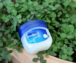 Starting your own home garden can seem a little daunting for those with a budding green thumb. 10 Vaseline Uses Hacks For Every Gardener Balcony Garden Web