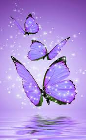 Are you searching for purple butterfly png images or vector? Purple Butterflies Wallpaper Posted By Michelle Mercado