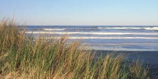 Gîtes et chambres d'hôte, campings à la ferme, gîtes de groupe, nous sommes les spécialistes des locations de vacances dans les landes. Landes Camping Between The Ocean Lakes And Forest What To See In France Campingfrance Com