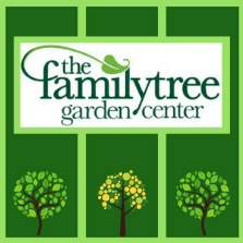 Our compact varieties do great in containers too, so you can enjoy the beauty of flowering. The Family Tree Garden Center Shopping Services Guide To Gwinnett
