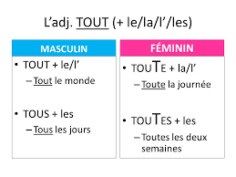 Tout Tous Toute Toutes Chocolat Litteraire Teaching French French Language Learning French Vocabulary