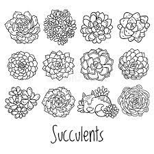 We did not find results for: Succulent Outline Design With Cat In Cartoon Style Ideal For Coloring Page Stock Vector Illustration Of Design Black 113652990