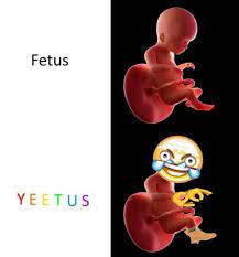 Browse the user profile and get inspired. Yeetus The Fetus Added A New Photo Yeetus The Fetus