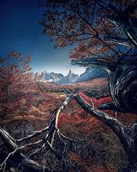 Wine,tango & iguazu falls us$2698 / per person. Fitz Roy Santa Cruz Argentina Beautiful Landscapes Nature Tourism Scenery