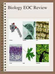 • the assessment is given in one 160 session. Bio Eoc Concept Notebook
