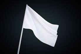 And i won't put my hands up and surrender. White Flag The Mumblings
